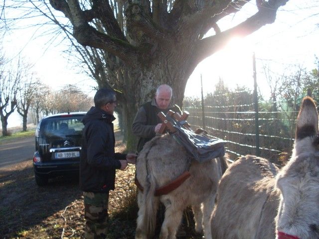 loire propre 2015 (2).jpg
